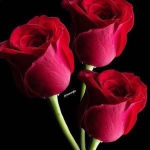 Meet your Posher, Mehdi abbas